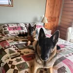Donna Turgeon LaBelle - @turgeonlabelle - Instagram