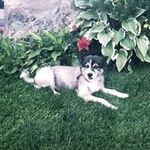 Donna Lacey - @donnalacey3846 - Instagram
