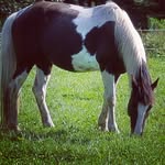 Donna Ladd - @dladd91184 - Instagram
