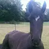 donnaladd866 - @donnaladd866 - TikTok