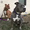 donnyladd123 - @donnaladd123 - TikTok