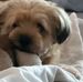 Donna Lancaster - Facebook