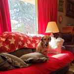 Donna Lancaster - @donna.lancaster.41 - Instagram