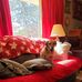 Donna Lancaster - Facebook