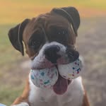 Donna Morgan Lantrip - @dlantrip - Instagram