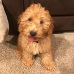 Donna Liebzeit Lantz - @lantz0207 - Instagram