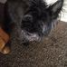 Donna Larkin - Facebook