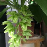 Donna LaRoche - @dwlaroche - Instagram