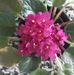 Donna Lasater - Facebook