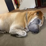 Donna LaVigne McKelvey - @donnamichael72 - Instagram