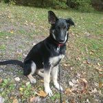 Donna Lawlor - @donna.lawlor.7 - Instagram