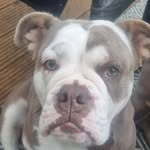 Don Don - @donnalaws - Instagram