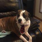 Donna Leach - @donnerleach - Instagram