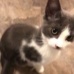 Donna Leach - @leach2851 - Instagram