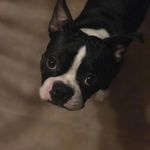 Donna Leach - @donna.leach.52012 - Instagram