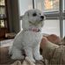 Donna Lemmon - Facebook