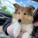 Donna Leathers - @aspensmesa - Instagram
