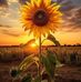 Donna Leeds - Facebook