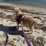 Donna Moleti Lefebvre - @donnalefay - Instagram
