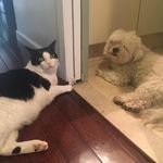 Donna Lefkowitz - @lefkowitzdonna - Instagram