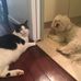 Donna Lefkowitz - Facebook