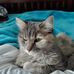 Donna Landis Leighton - Facebook