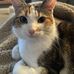 Donna Leighton - Facebook