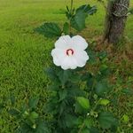 Donna Lenz - @donnalenz99 - Instagram