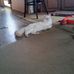 Donna Lenzi - Facebook