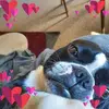 donnalenzo1 - @donnalenzo1 - TikTok