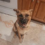 Donna Gower Lesko - @dlesko042018 - Instagram