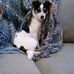 Donna Lesko - Facebook