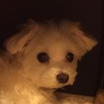 Donna Lien - @donna.lien - Instagram