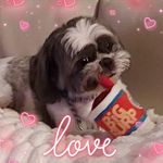 Donna B Lindner - @djbrady99 - Instagram