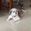 Donna Lim - @donna.lim50 - TikTok