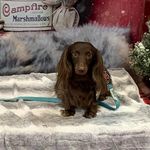 Donna Houser-Lippert - @houserlippert - Instagram