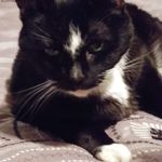 Donna Lippert - @lippert965 - Instagram