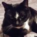 Donna Lippert - Facebook