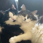 Donna Lisk - @liskdonna - Instagram