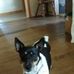 Donna Lusk - Facebook