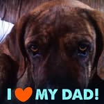 Donna Litton Mullins - @donna.mullins.545 - Instagram