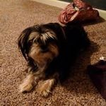 Donna Litzau - @donnalitzau - Instagram