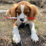 Donna Liu - @happymomto - Instagram