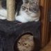 Donna Lo - Facebook