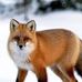Donna Lo - Facebook