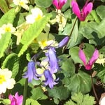 Donna Lobb - @dlobb17 - Instagram