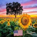 Donna Lockard Barker - @donnabr7 - Instagram