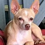 Donna Neff Lockard - @donna.n.lockard - Instagram