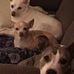 Donna Neff Lockard - Facebook