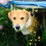 Donna Lockett - @donna_lockett - Instagram